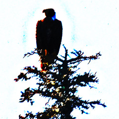 Sometimes I Think (excerpt)