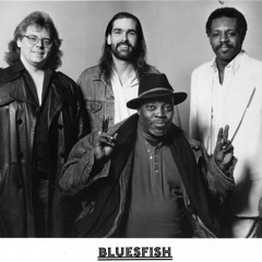 Bluesfish-Fire & Brimstone