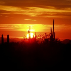 Arizona Sun
