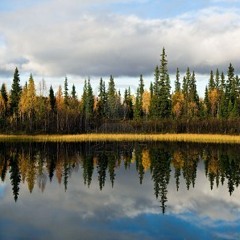 Echoes Through Sunken Forests: Aurora Orchestra concert 13/3/12 [With BBC Radio 3 Interview]