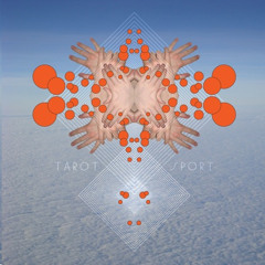 Fuck Buttons - Flight of the Feathered Serpent