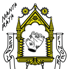 100% (Sonic Youth cover by Manta Raya)