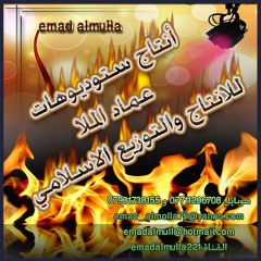 الليلة مولد مهدينة زياد الكناني