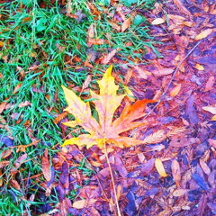 DJ ARSON - MUST TAKE ALL 2004 [Ragga Jungle Battle Mix]