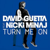 David Guetta Sidney Samson Ft Nicki Minaj Florida Turn Me On Girls At Adam Brothers Bootleg Mp3