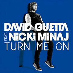 David Guetta, Sidney Samson ft. Nicki Minaj, FloRida  - Turn Me On Girls at (Adam Brothers Bootleg)