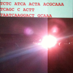 Robert B. Lisek: one /live DNA worms /2012