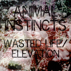 Animal Instincts - Wasted Life B/W Elevation