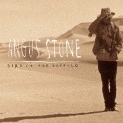 Angus Stone - Bird On The Buffalo (Radio Edit)
