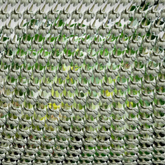 Under The Floripondio Tree