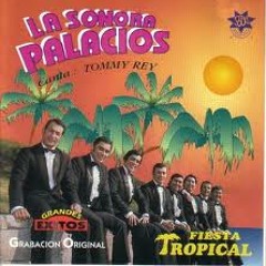 La sonora palacios - loco loco