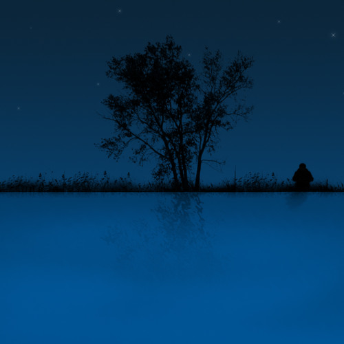 Fink - Under the Same Stars (magic tofu remix)