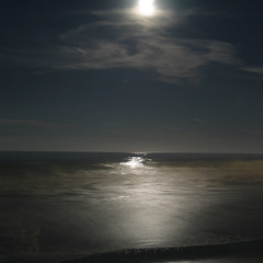 Jeet Kune Flo Vol 2.5