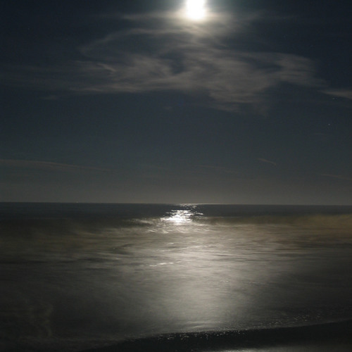 Jeet Kune Flo Vol 2.5