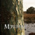 Artwork for I Viking
