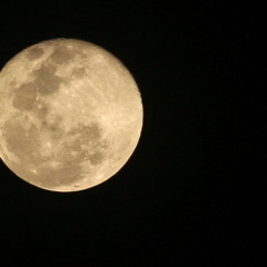 ฉันจะฝันถึงเธอ...สุภัทรา  โกราษฏร์