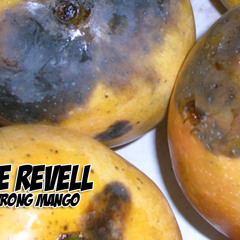 Joe Revell - The wrong mango (D/L link in description)