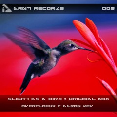 Overflow-x & Aaron Kev - Slight as a Bird (Original Mix) "ARNT RECORDS"