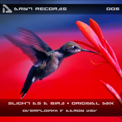 Overflow-x & Aaron Kev - Slight as a Bird (Original Mix) "ARNT RECORDS"