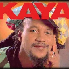 KAYA - RACIN PE BRILE