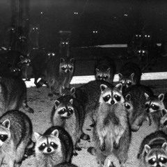 Alfamania feat. Plusplus