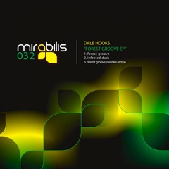 Dale Hooks - Forest Groove (Dashka Remix)