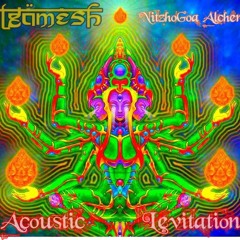 Acoustic Levitation - Chapter Two #NitzhoGoa Alchemists 2012