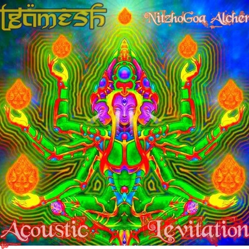 Acoustic Levitation - Chapter Two #NitzhoGoa Alchemists 2012