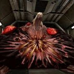 Self-destruct sequence