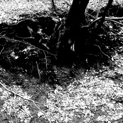 H.EXE - Dunkelheit (Burzum Cover)