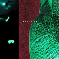 p h a s e  i v