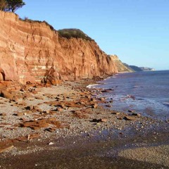 08 How You Gonna Grow