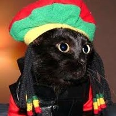 Reggae Cat