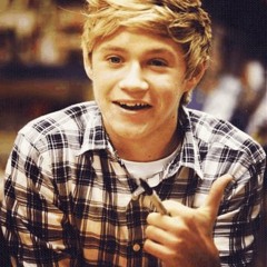 Niall Horan - Summer of 69