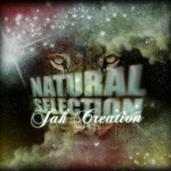 Prince Ranny & Natural Selection - 03 Jukie
