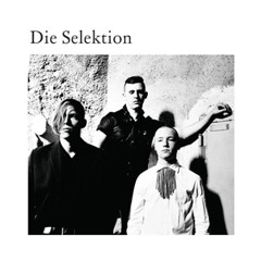 Die Selektion - Muskelberg - Kaleid remix by Romain Frequency