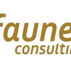 Music for TV/Internet Series Fauner Consulting "Fauner Theme"