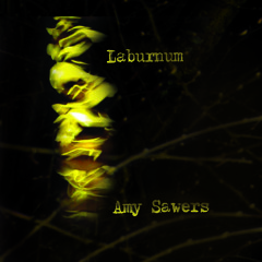 Where Is My Rome (from 'Laburnum') - Amy Sawers