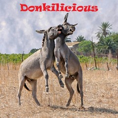 Donkeylicious