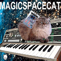 MAGIC SPACE CAT 1