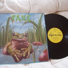 FAKE - Forogs In Spain  Vinyl rip by nono