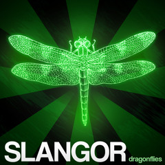 SLANGOR - DRAGONFLIES