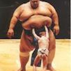 The wrestler (World funk Project and the Troubleshooter)