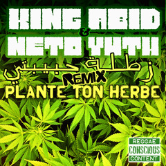 King Abid ft Neto Yuth - Zatla Habibti Plante ton Herbe RMX
