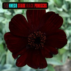 Nmesh - Stark Black Pomiscus (2009)