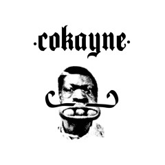 COKAYNE NO.2 Nils Hoffmann [3/15/2012]