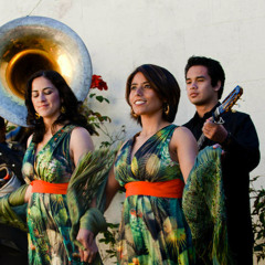 Los Cenzontles proudly says, "Yo soy Mexico Americano" #SanFranciscoCrosscurrents #BayAreaArt