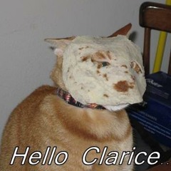 Contusion (Stevie Wonder)