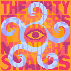 Midnight Snakes
