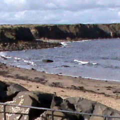 Listen to the mocking bird